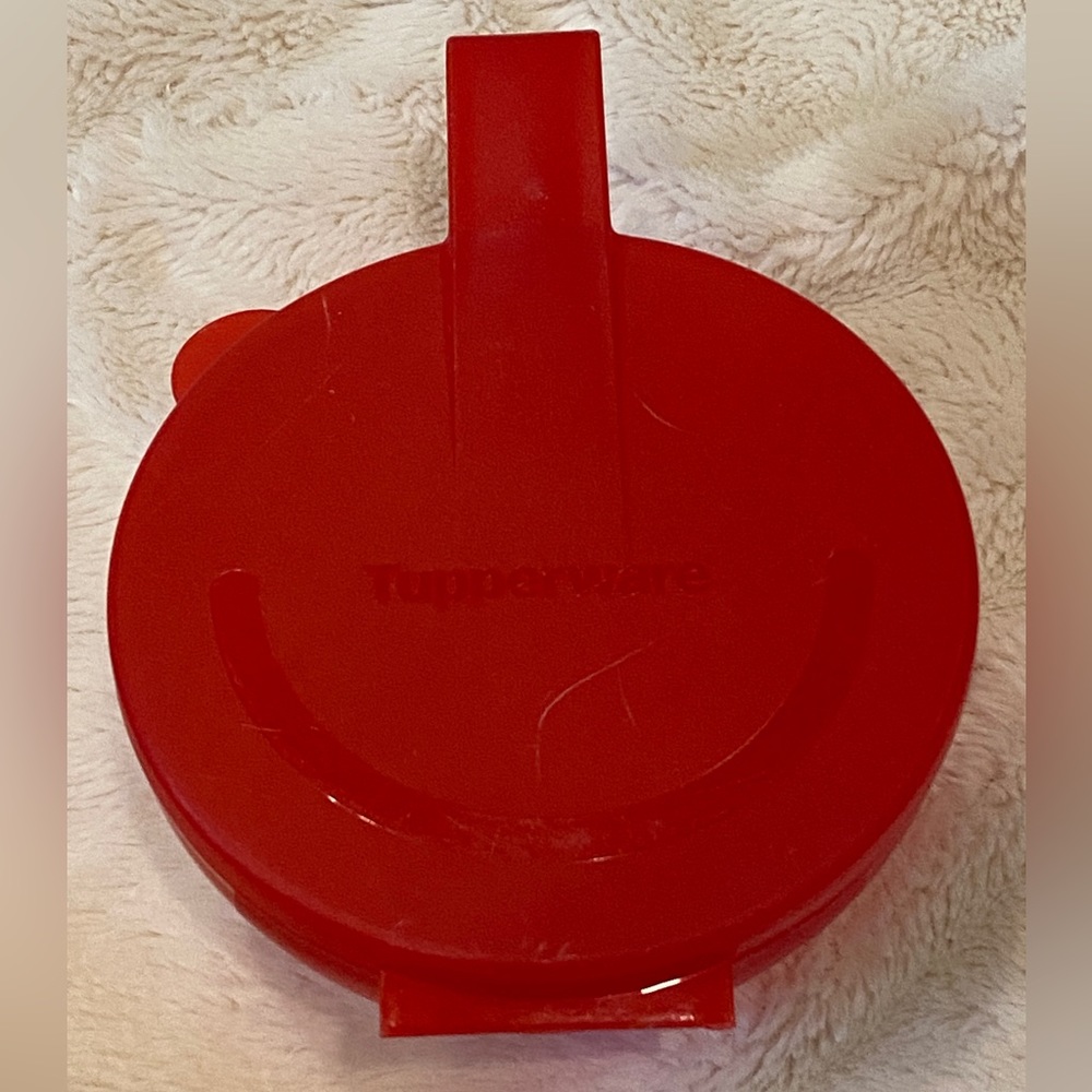Tupperware Forget-Me-Not Hanging Fruit Vegetable Tomato Onion Keeper Container